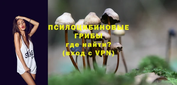 прущие крисы Краснотурьинск