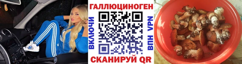 Галлюциногенные грибы ЛСД  Купить закладки  Балахна 